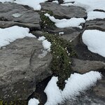 Photo taken by Dawn S