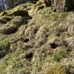 Photo taken by Marsha W