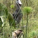 Photo taken by Michael L