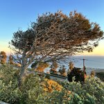 Photo taken by Jim M