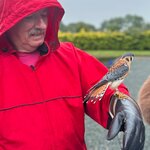 Photo taken by Sharon S