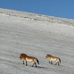 Photo taken by Joseph K