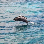 Photo taken by Vinay K