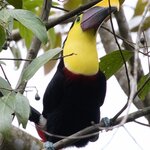 Photo taken by Joyce C