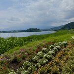 Photo taken by Mallory A