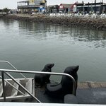 Photo taken by Nigel R