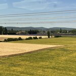 Photo taken by Jodi P