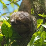 Photo taken by Dawne D