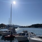 Photo taken by Shari B