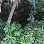 Photo taken by Daniel S