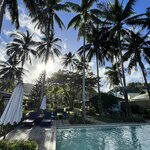 Photo taken by Edit M