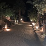 Photo taken by Marion M