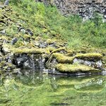 Photo taken by Sara W