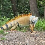 Photo taken by Trish G