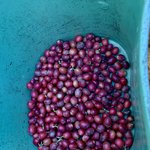 Photo taken by Flaminia R