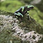 Photo taken by Kristen L