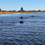 Photo taken by Tom B