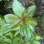 Photo taken by Carrie N