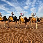 Photo taken by Tom B