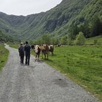 Photo taken by Vikki M