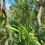 Photo taken by Elena R