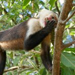 Photo taken by Kristen L