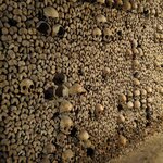 Photo taken by Judy B