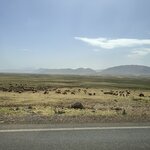 Photo taken by Paula H