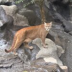 Photo taken by Sara W