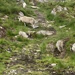 Photo taken by Gary G