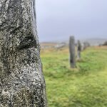 Photo taken by Danielle P