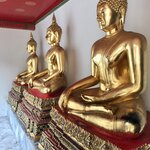 Photo taken by Shaula L