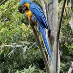 Photo taken by Ross V