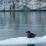 Photo taken by Noelle F