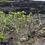 Photo taken by Catherine H