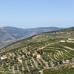 Photo taken by Stella S