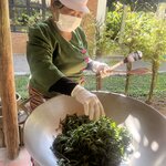 Photo taken by hazel S