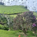 Photo taken by Grace V