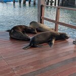 Photo taken by Sharon J