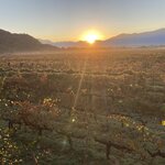 Photo taken by Douglas S