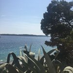 Photo taken by Juliet E