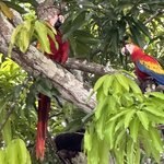 Photo taken by Allen L