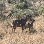 Photo taken by rhonda c