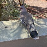 Photo taken by Katie E