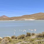 Laguna Hedionda | Photo taken by Flaminia R