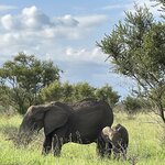 Photo taken by Jeanine B