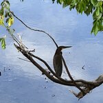 Photo taken by Denise M