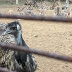 Photo taken by Daniel S