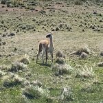 Photo taken by Karen L