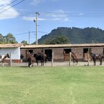 Photo taken by Nicole G